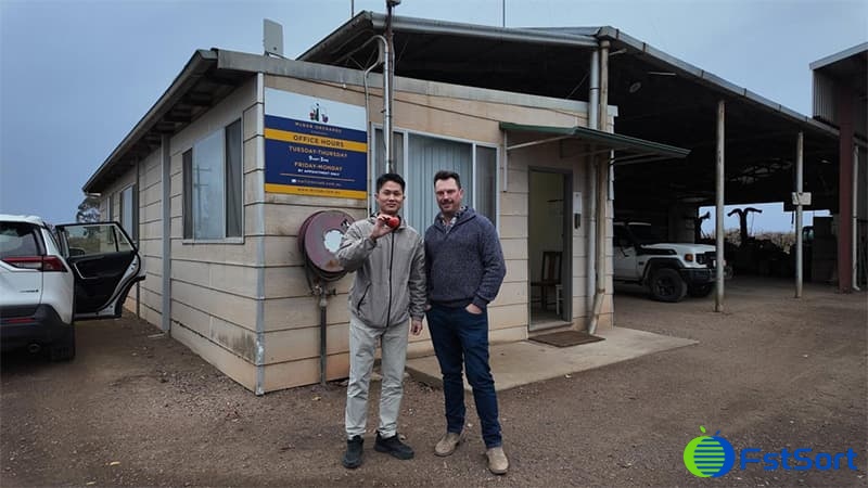 images/1749801825400equipo de clasificación de manzana.jpg